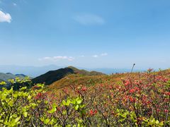 -大围山国家森林公园
