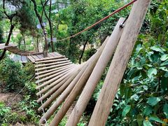 -芦仙山景区-飞越丛林探险乐园