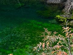 -叠溪松坪沟景区