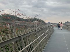 -福道