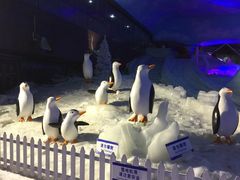 -世界之窗阿尔卑斯冰雪世界