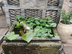-两江国际影视城