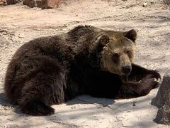 -大连森林动物园