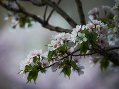 -永乐路-路侧停车场