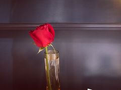 餐具摆设-诺世嘉顿酒店Rose·花园餐厅