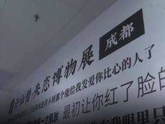 -成都失恋馆