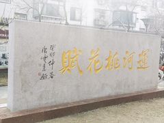 -桃花堤公园