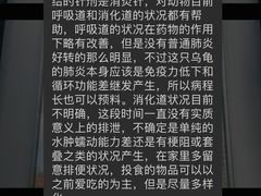 -雨林宠物医院 非犬猫异宠专科