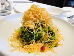巧拌豆苗-四季民福烤鸭店(王府井灯市口店)