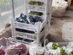 -马陆小张葡萄园农家乐