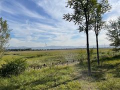 -野鸭湖国家湿地公园