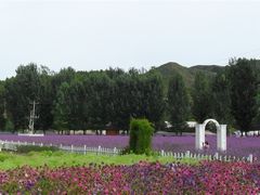 -紫海香堤香草艺术庄园