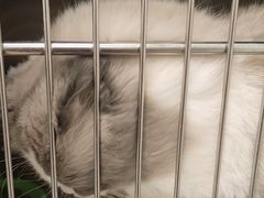 -佳雯宠物医院(四明中路分院)