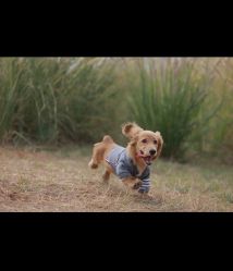 -蜜糖派儿童摄影(青建·太阳岛店)