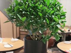 -新旺茶餐厅·早餐(香港广场店)