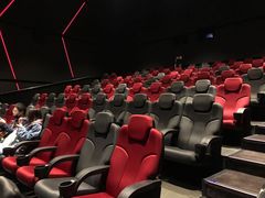 -奥斯卡升龙国际影城(RealD Cinema)