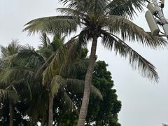 -深圳湾公园(南山区)
