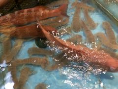 -宜宾海鲜酒家·三十年老字号