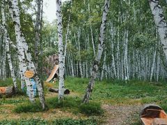 -哈乌尔河