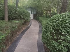 -迎泽公园