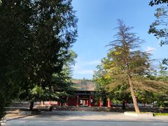 -洛阳周公庙博物馆