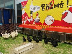 -哈尔滨热雪奇迹
