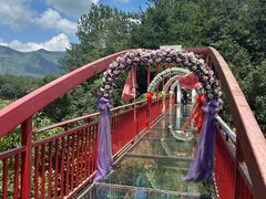 -仙岛湖旅游风景区