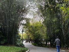 -晓港公园