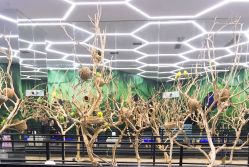 -酷嗒动物文化乐园(cutezoo西溪乐天城店)