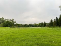 -福建鲤鱼洲酒店