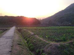 -八卦田遗址公园