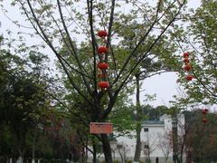 -广东外语外贸大学(白云山校区)