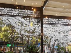 -玛格萝妮比萨屋(四平店)