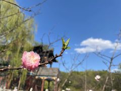 -沈阳市东陵公园