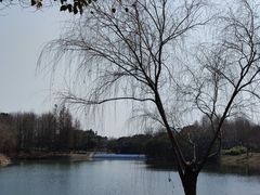 -尚贤河湿地