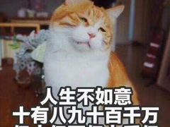 -张醪糟