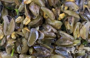 Clam (Thin-shelled)