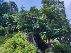 -广州市白云山风景名胜区