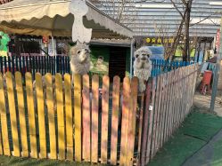 -萌宠亲子动物乐园(槐房万达店)