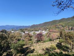 -塔川景区