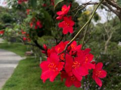 -广州莲花山旅游区