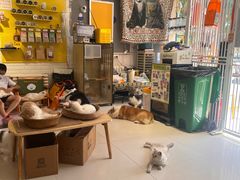 -平行世界·猫咖(首经贸店)