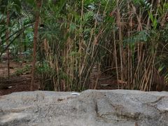 -龙达温泉生态城