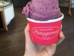 -Patagonia Chocolates(皇后镇店)
