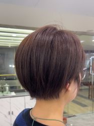 -镁连社·美联社