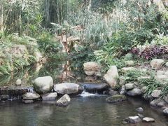 -深圳仙湖植物园