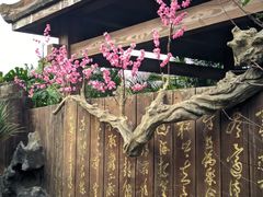 -南宁花花大世界景区