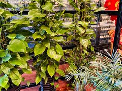 -徐记私厨(半淞园路店)