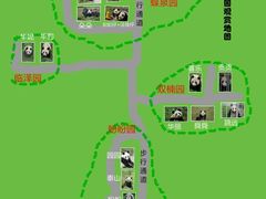 -都江堰中华大熊猫苑