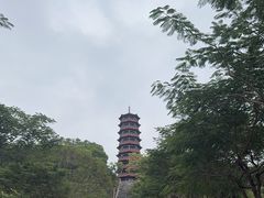 -红花山公园